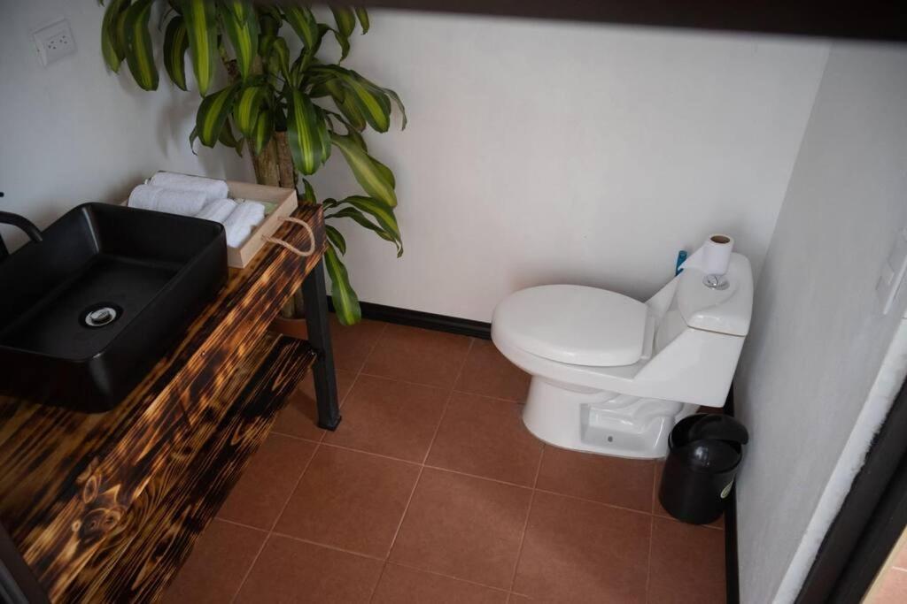 Aura Appartement *